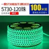 Tira de Luces LED Ultra Brillante Impermeable para Exteriores 220V Ingeniería Pared Exterior Sala de Estar Exterior Techo Luz Cálida Tira de Luz Blanco Cálido