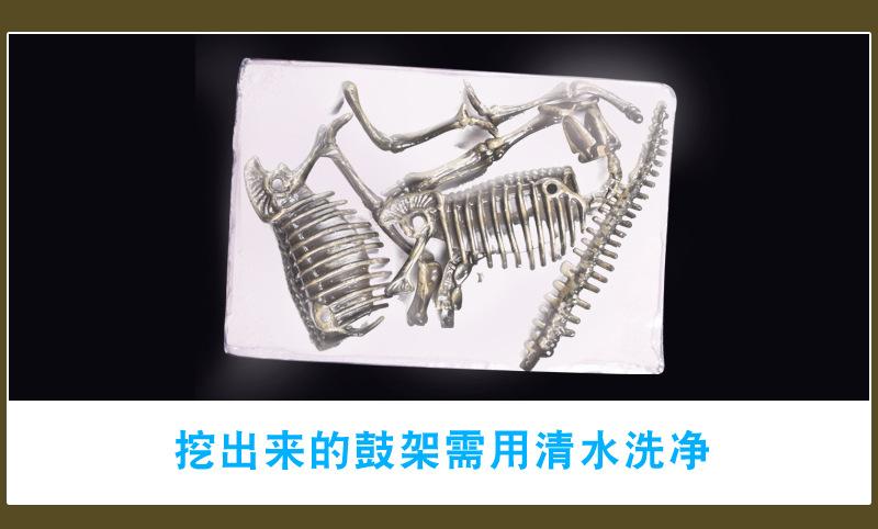 挖掘恐龙详情图7