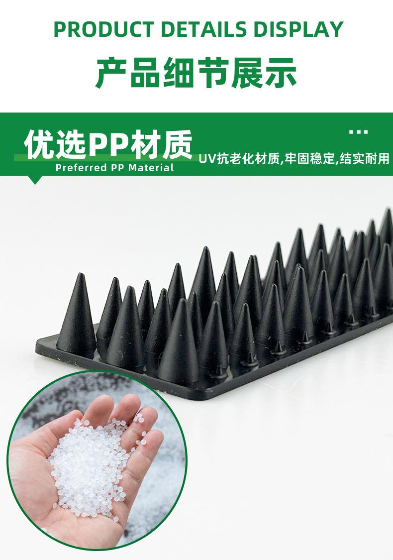 矮鸟刺详情_07