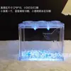 Tanque de Peixe Betta Tailandês de Blocos de Construção Pequena Caixa Surpresa Cenário Layout Micro Paisagem Criativa Colher de Alimentação em Lote Outros
