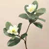 Hojas de magnolia artificiales, ramas falsas artificiales, plantas verdes decorativas para habitaciones modelo de hotel, arreglos florales de boda, flores de magnolia