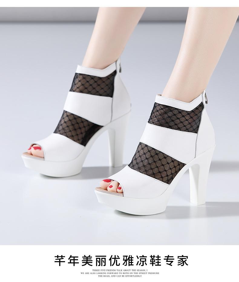 详情_14.jpg