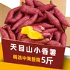 Batatas Auténticas de la Montaña Tianmu, Batatas Frescas y Dulces de Granja, Tienda Insignia de Batata Miel