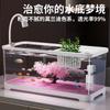 Acuario de Escritorio, Sala de Estar, Acuario con Paisajismo de Árbol de Flor de Cerezo, Acuario Ecológico de Auto-Circulación para Oficina, Tanque de Tortuga de Alta Transparencia