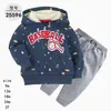 Comercio Exterior Ropa Infantil Primavera y Otoño Conjunto Infantil de Dos Piezas Material Sudadera Sudadera con Capucha Ropa Infantil para Bebés Ropa de Salida [Al por Mayor]