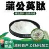 Pó de Peptídeo de Dente-de-Leão Matéria-Prima de Grau Alimentício Extrato Vegetal Solúvel em Água Peptídeo de Proteína Vegetal de Pequena Molécula Personalização