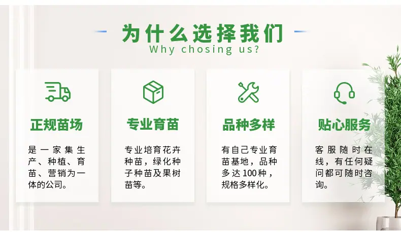 稿定设计-2.png