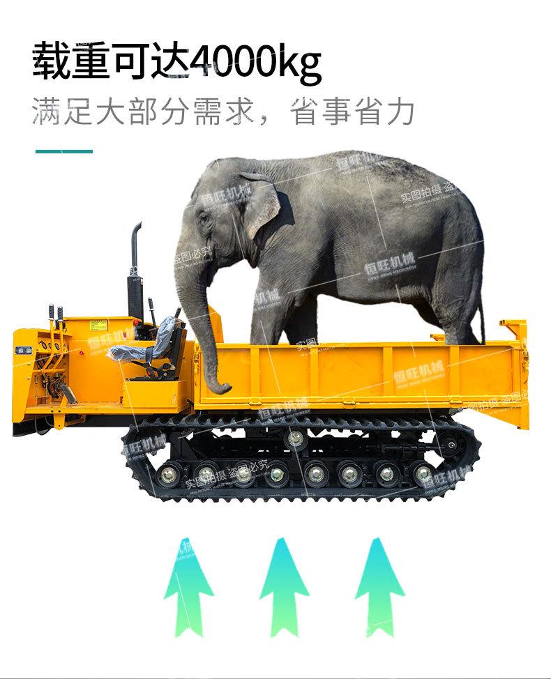 6履带运输车790_03
