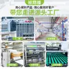 Papel Sintético A4 Autoadhesivo Transparente Base PET Impresión de Inyección de Tinta Resistente al Agua y al Desgarro Papel Sintético PP Autoadhesivo en Stock