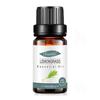 Empaque Completamente en Inglés Aceite Esencial Único de Árbol de Té para Fragancia de Velas DIY, Aceite Esencial de Árbol de Té, Aceite Esencial de Aromaterapia de Árbol de Té