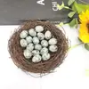 Cristal Natural Transfronterizo Mini 2cm Adornos de Huevo de Pájaro Ágata Jade Huevo de Mineral de Amoy Decoración de Huevo de Pascua