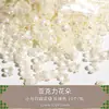10 Flores de Acrílico de Color Perla, Lirios y Pétalos de Flor de Ciruelo Paquete de Materiales para Pasadores Antiguos DIY Accesorios