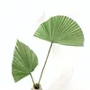 Flor artificial hoja de plátano hoja de palma planta artificial arreglo floral hoja de planta decoración de interiores hoja de girasol hoja de abanico grande