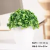 Plantas Verdes Simples Suculentas de Plástico em Vaso Ornamento para Sala de Estar Mesa de Jantar Flores Artificiais Decorações Ornamento Flores Biomórficas