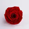 Flores Eternas 9-10cm Rosas Gigantes Personalizables Venta al por Mayor Productos Terminados DIY Cabezas de Flores Grandes Venta al por Mayor de Fábrica