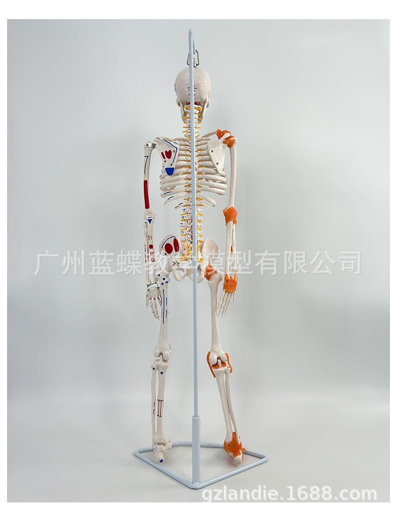 详情_08