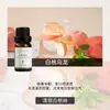 Fabricante de Fuente de Aromaterapia Aceite Esencial de Aromaterapia Soluble en Agua 10 ml Fragancia Vegetal L Difusor Ambientador Máquina de Aromaterapia Aceite Esencial