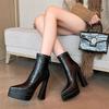 Botas Elásticas de Tacón Ultra Alto para Mujer 2025 Otoño e Invierno Nuevas Puntiagudas Tacón Grueso Suela Gruesa Botas de Moda Impermeables Plataforma Botines de Tacón Alto