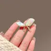 Broche de Laço com Pérola Barroca, Corsage Pequeno Exquisito de Luxo para Mulheres, Alfinete Elegante, Fivela Anti-Exposição, Acessórios para Roupas