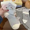 Calcetines de Primavera y Otoño para Mujer, Calcetines de Media Pantorrilla, Versátiles de Estilo Ins de Moda, Calcetines Holgados Rayados Bordados de Perro Dachshund, Estilo Universitario con Bloques de Color, Estilo Coreano