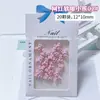 Accesorios de arte para uñas de oso de dibujos animados, oso de cabeza grande tridimensional suave y lindo, oso marrón de otoño e invierno, oso rosa femenino, decoraciones suaves esculpidas para arte de uñas