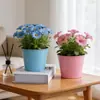 Cubo Metálico Mediano, Maceta de Lata Colorida, Cubo de Almacenamiento para Decoración de Escritorio en Casa, Maceta Creativa para Plantas Verdes y Suculentas
