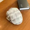 Boné Estilo Japonês Ins Gradiente Camurça Aba Reta para Mulheres, Novo Estilo de Rua Outono e Inverno Versátil Personalidade Boné de Jornaleiro Que Faz o Rosto Parecer Menor