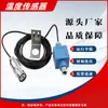 Sensor de Temperatura para Minería Gwp100 Equipo de Protección para Detección de Temperatura de Banda Transportadora Ordinaria Subterránea Fábrica Original Wantai