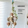 Juguetes para loros y suministros para aves: Juguetes de Frutas de Colores, Carambola, Mazorcas de Maíz, Bolas de Ratán, Juguetes para Masticar para Comercio Transfronterizo