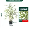 Estilo Nórdico Planta Verde Bambu Planta em Vaso Ornato para Sala de Estar Interna Bambu Falso Artificial Plantas Verdes Falsas Paisagismo Planta em Vaso