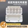 Directo de fábrica caja de huevos de pulpa de tierra caja de huevos transfronteriza moldeo de pulpa ecológico degradable bandeja de huevos de pulpa Paquete de 10