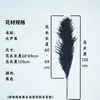 Caña Larga Vietnamita Flor Seca de Yunnan Ramo Decoración Esponjoso Fotografía de Boda Del Suelo al Techo Paisajismo Flor Inmortal Natural