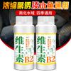 Vitamina B2 Pesca Salvaje Especial Pócima Pequeña Atrayente de Peces Aditivo Alimentario Carpa Vb Seis-en-Uno Cebo Fragante para Peces
