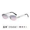 Nuevas gafas de sol de doble puente transfronterizas, gafas de sol poligonales de montura pequeña de moda callejera europea y americana, gafas de sol retro de moda
