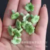 Vários Tipos de Flores Prensadas em Pó de Concha de Furo Reto (Flores de Ameixa, Flores de Cerejeira, Glórias da Manhã) Materiais e Acessórios para Acessórios de Cabelo Artesanais DIY
