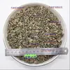Té de Apocynum Xinjiang Hierba Medicinal China Silvestre Tallo Rojo Cáñamo Rojo Brote Nuevo Té para la Salud