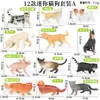 Simulación Mini Gato Perro Modelo de Animal Pequeño Juguete Corgi Perro Chai Pelo Dorado Marioneta Gato Gato sin Pelo Husky Mascota Linda