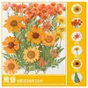 Paquete de Materiales DIY de Flores Secas Flores Prensadas Hechas a Mano Flores Conservadas Marcadores de Libros de Flores Prensadas Hojas de Árbol Real Plantas Pegatinas de Resina Maquillaje Facial
