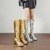 Botas de moda versátiles antideslizantes con suela de goma para mujer, botas altas de invierno y otoño transfronterizas, plataforma impermeable de punta redonda, botas de talla grande para mujer con cremallera