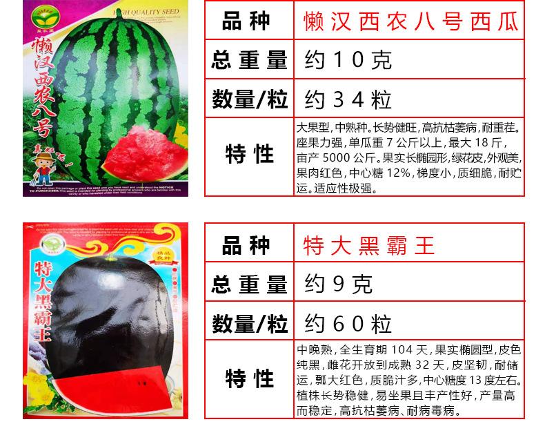 1_05.jpg