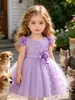 Novo Vestido de Princesa Infantil Vestido com Aplique de Borboleta Saia Tutu de Tule Vestido para Festa de Aniversário Vestido de Fantasia para Apresentação