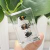 Directo de fábrica animal pequeño insecto espécimen resina animal marino espécimen ámbar escorpión araña cangrejo escarabajo