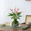 Planta de Gardenia Hidropónica, Bola de Musgo en Maceta, Mini Rosa, Planta Verde de Oficina, Bambú de la Suerte, Árbol del Dinero de Escritorio para Interiores