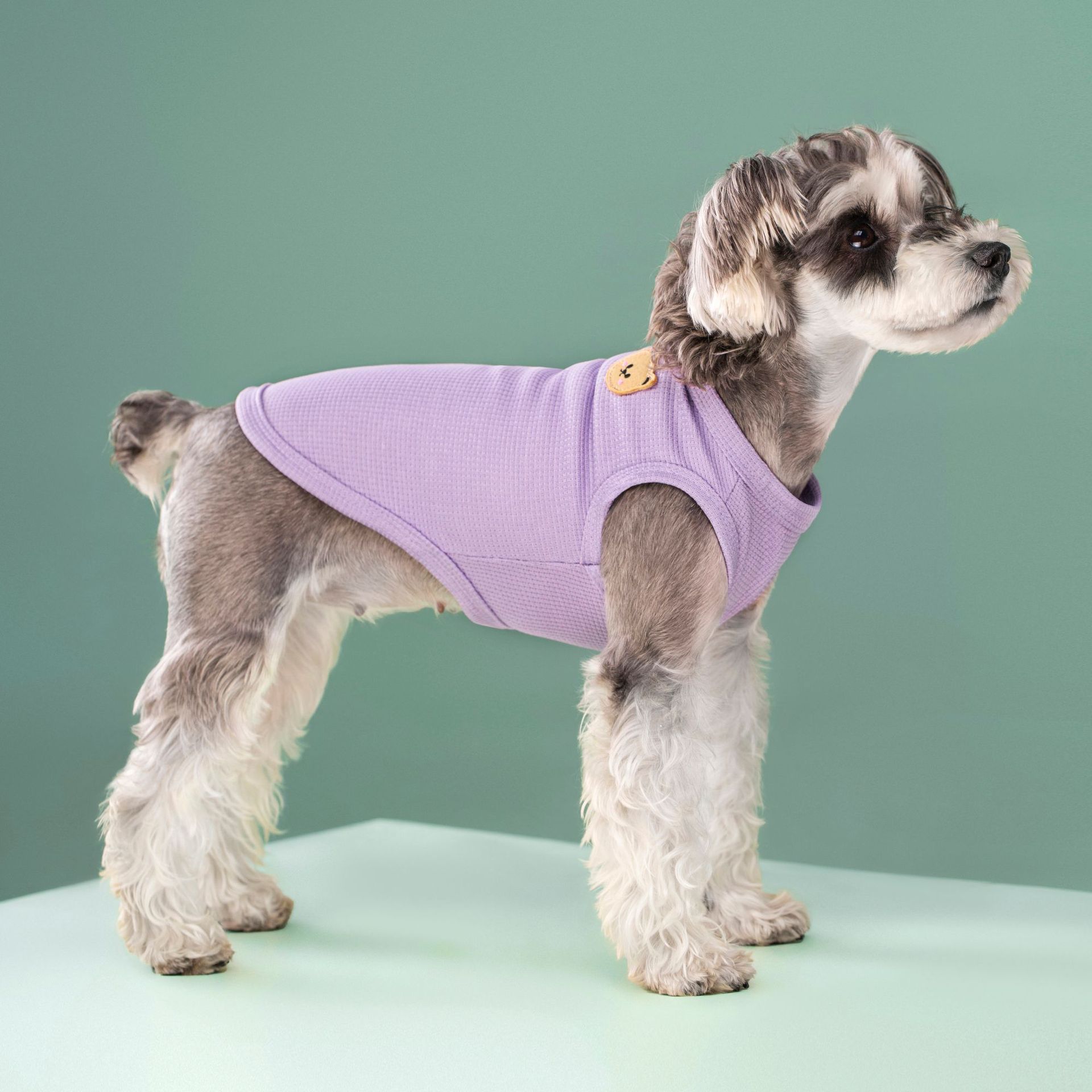 WD4A2603_1 - 开心看图王.jpg