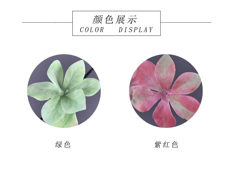 颜色展示.jpg