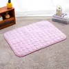 Alfombra para Mascotas de Terciopelo de Leche Transfronteriza Alfombra para Dormir Alfombra para Mascotas Alfombra de Piso Alfombra para Dormir Perros Cama para Mascotas Alfombra para Gatos Cama para Gatos