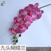 Nuevo Producto Falenopsis de 9 Cabezas, Orquídea Artificial de Película, Arreglo de Flores de Seda para Diseño de Hotel y Restaurante, Arreglo Floral para Arco de Boda, Flor Artificial