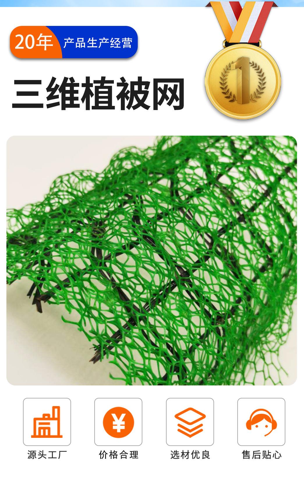 3三维植被网_05.jpg