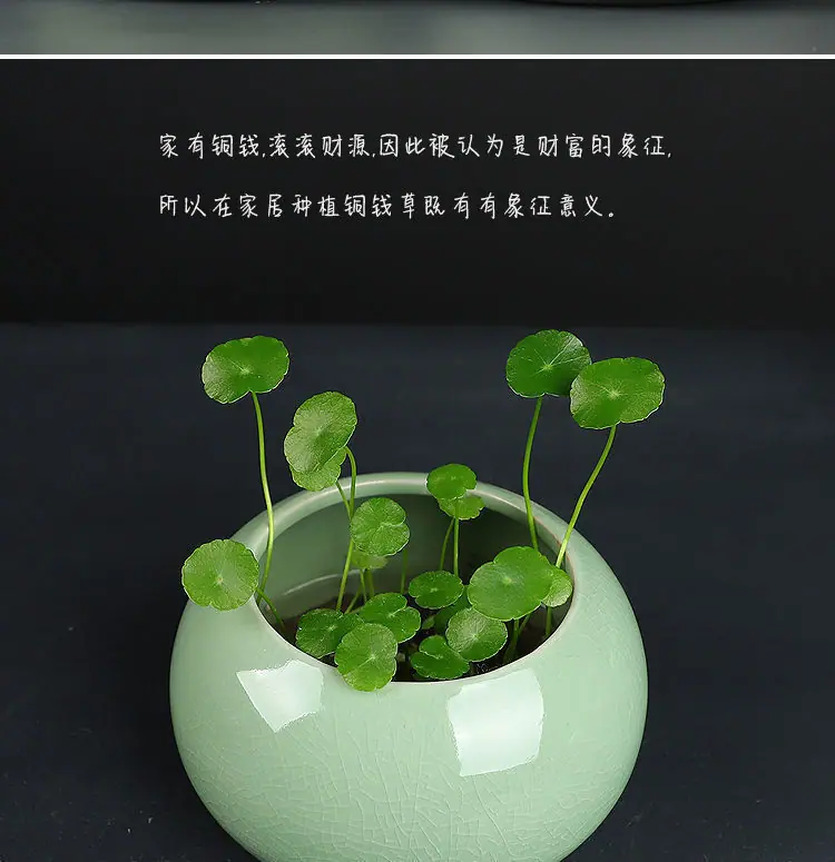 7c12853e-5dd1-4fa9-bb20-d7ffe887c875.jpe