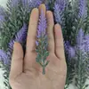 Fabricante Transfronteiriço de Plantas Aquáticas Artificiais, Decorações de Agulhas de Pinheiro para Árvore de Natal, Arranjos de Flores de Agulhas de Pinheiro, Plantas Verdes Transfronteiriças de Natal, Plástico